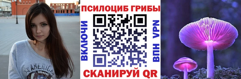 Купить Энгельс Галлюциногенные грибы мицелий